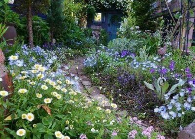 bostuin vol met wilde bloemen en natuur gemaakt door een tuinontwerper nabij Bathmen