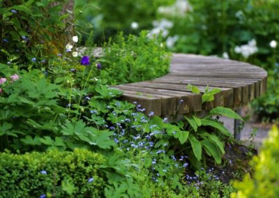 speels bankje en stapelmuur met insectentrekkende planten in de tuin van ecologisch tuinontwerper nabij Bathmen
