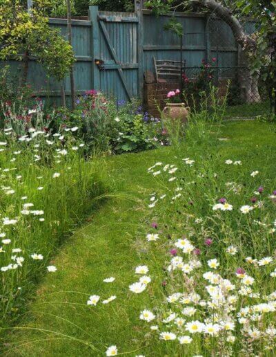 kleine natuurtuin met wilde bloemen en veel vlinders en bijen door mooi speels tuinontwerp van een ecologisch tuinontwerper