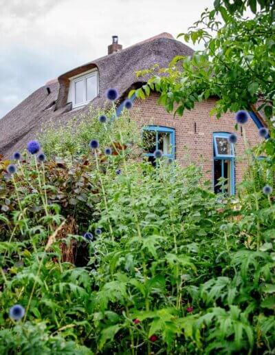 boerderij met mooie wilde tuin waar een ecologisch tuinontwerper woont vlakbij Zutphen