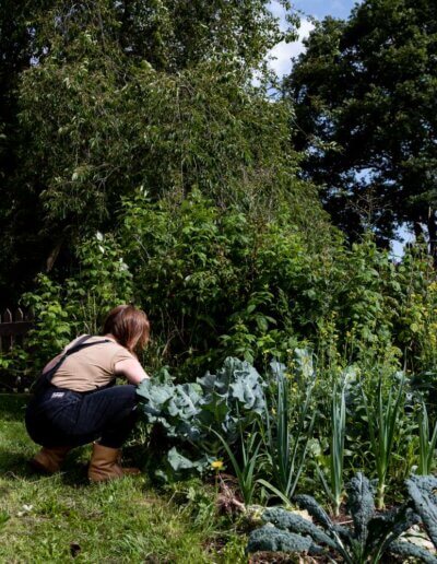 leren over moestuinieren geeft je een mooie eetbare tuin zoals hier in een mooie wilde tuin in de buurt van Twello
