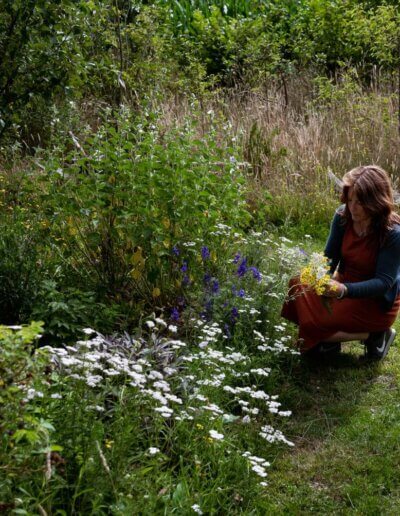 mooie wilde tuin aangelegd door ecologisch hovenier in de buurt van Apeldoorn