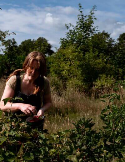 moestuin of tuinadvies geeft een prachtige wilde tuin met veel eetbare planten in natuurtuin bij Harfsen