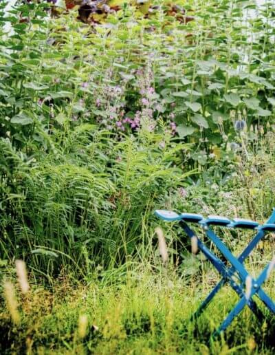 stoel bij wilde planten die veel bijen en vlinders aantrekken in mooie wilde tuin van tuinontwerper in de buurt van Zutphen