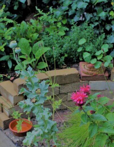 klein stapelmuurtje trekt dieren aan in een natuurtuin in Zutphen
