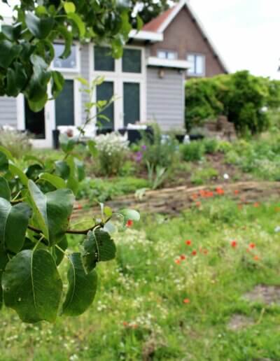 meer dieren in je tuin en wilde planten door goed ecologisch tuinadvies