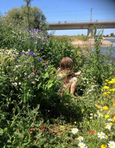 meisje te midden van inheemse wilde bloementuin Woeste Willem speelnatuur