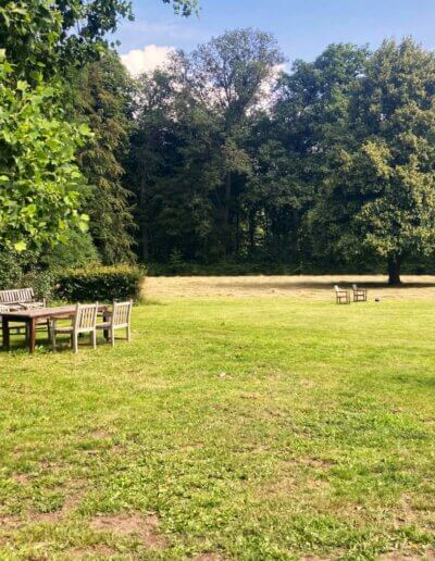zicht op het bos voorbereiding voor een tuinontwerp voor ecologische tuin in Vorden