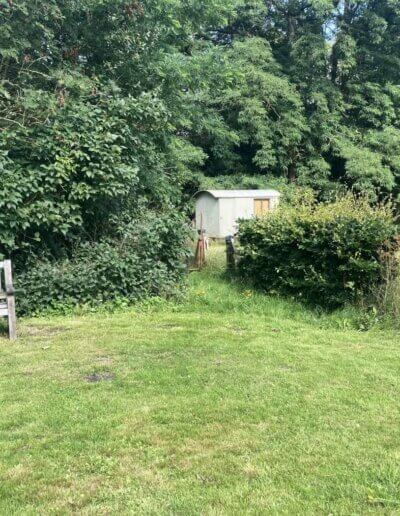 tuinbank bij haag van inheemse struiken en vogelbosje in natuurtuin bij Vorden