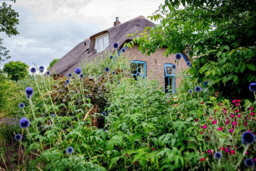 3d11 boerderij met mooie wilde tuin en bostuin en biologische moestuin en permacultuur en voedselbos nabij Apeldoorn